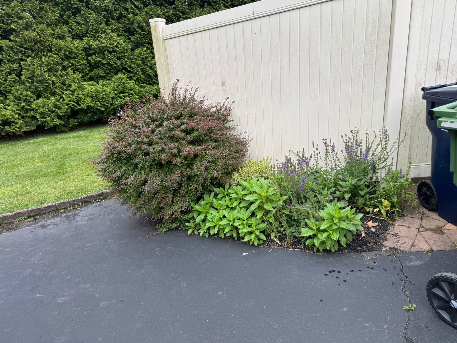 Mulch installation work by Green Force Property Services
